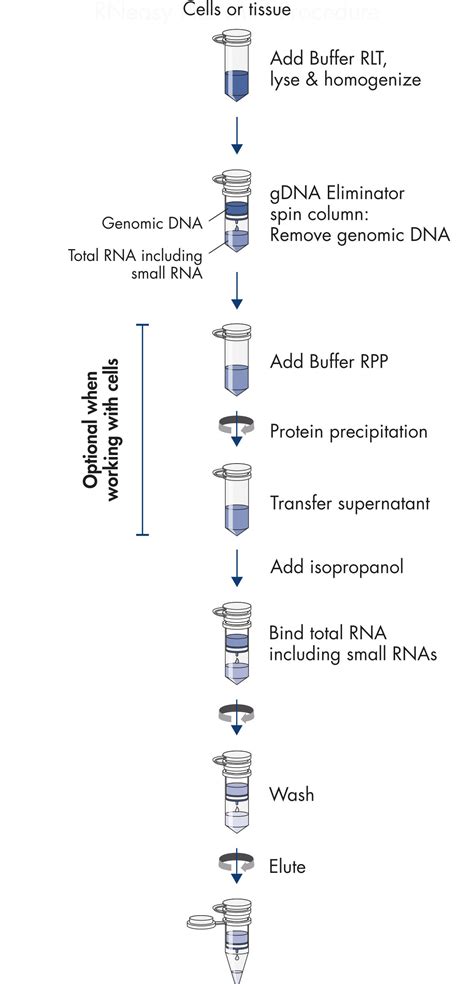 qiagen mirneasy micro kit.